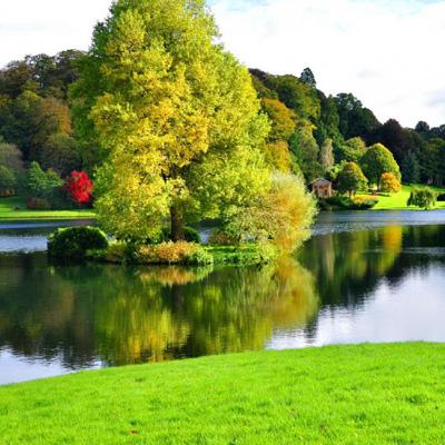 新万博在线体育