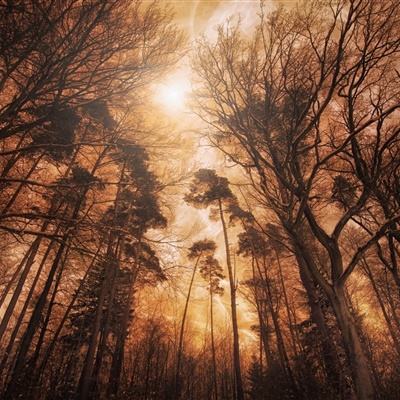 足球滚球的正规平台app下载手机版