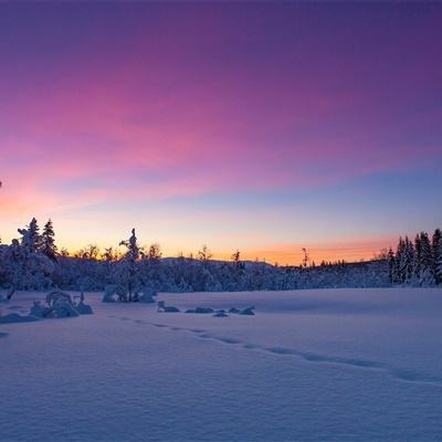 k1体育十年品牌值得信赖网址